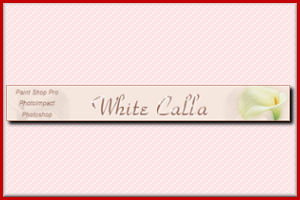 tut White Calla