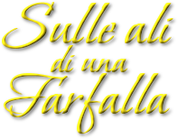 Sulle ali di una farfalla