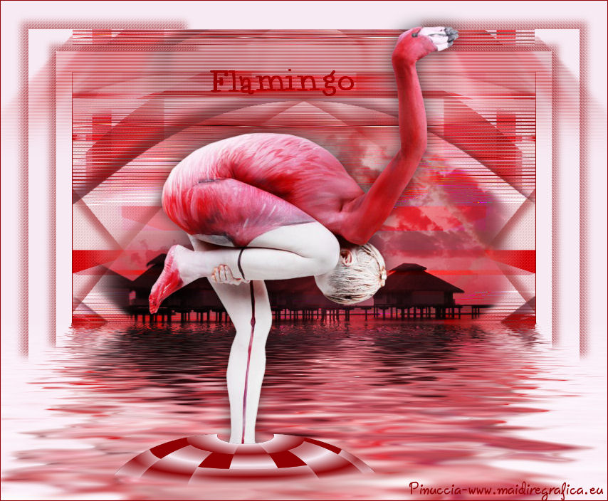 flamingo