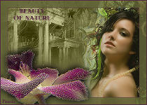 La Bellezza della Natura