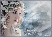 Frozen Memories