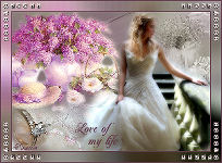 L'amore della mia vita