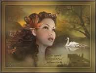 The most wonderful place