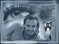 You decorate my life