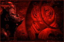 African breathtaking Beauty