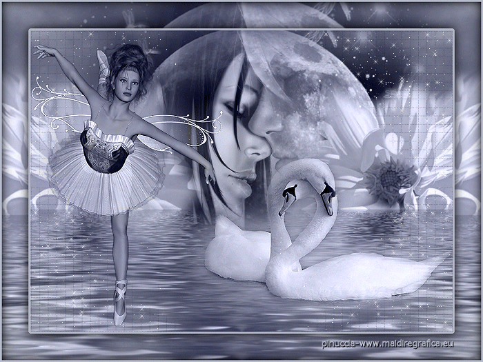 The Swan Princess