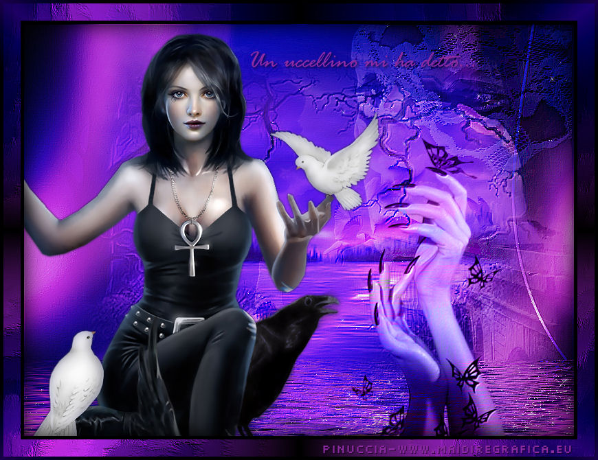 A little bird has told me...