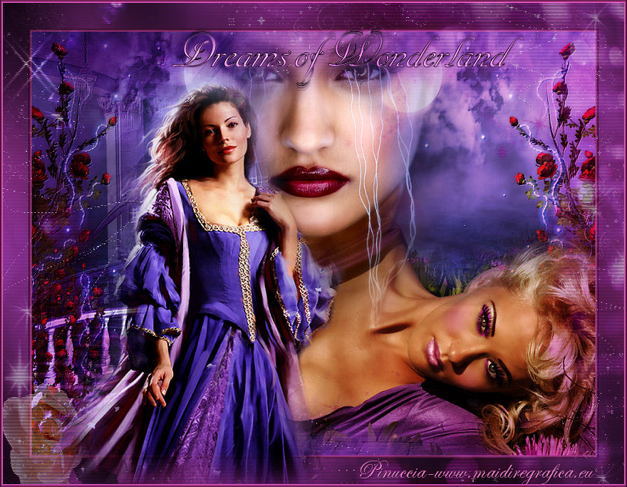 Dreams of Wonderland