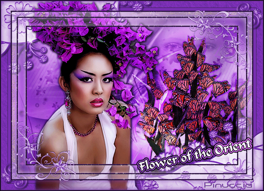 Flower of the orient