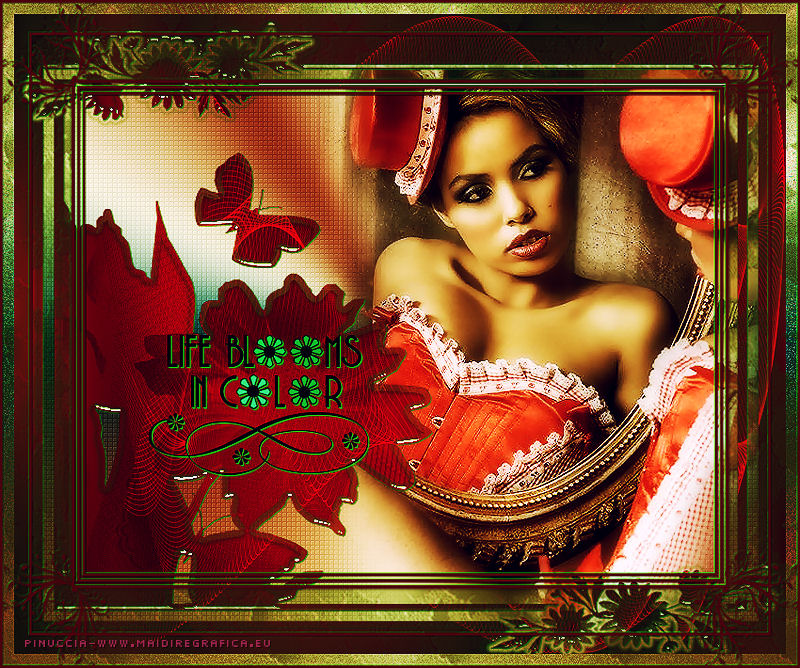 Life blooms in color