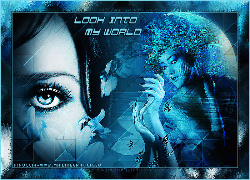 Look into my world