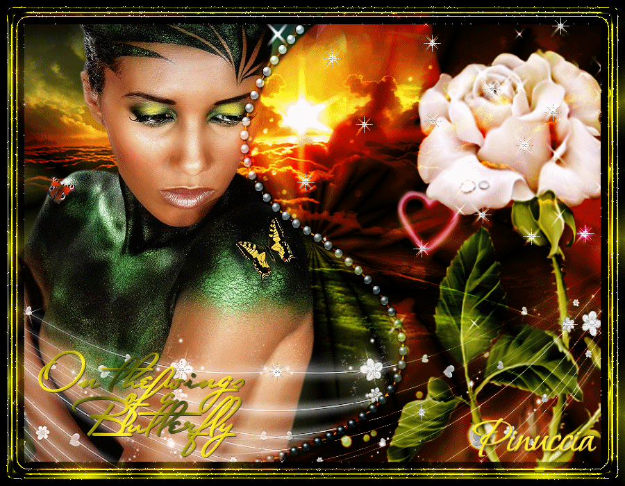 On the wings of a butterfly