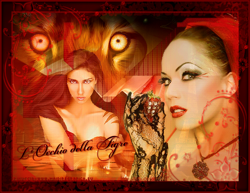 The eye of the tigers