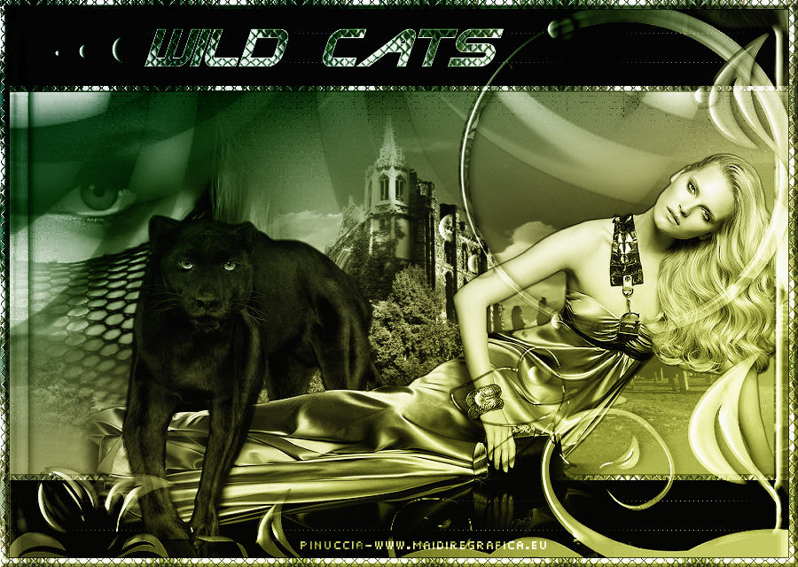 Wild Cats