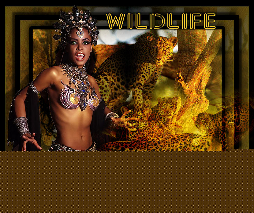Wild Life