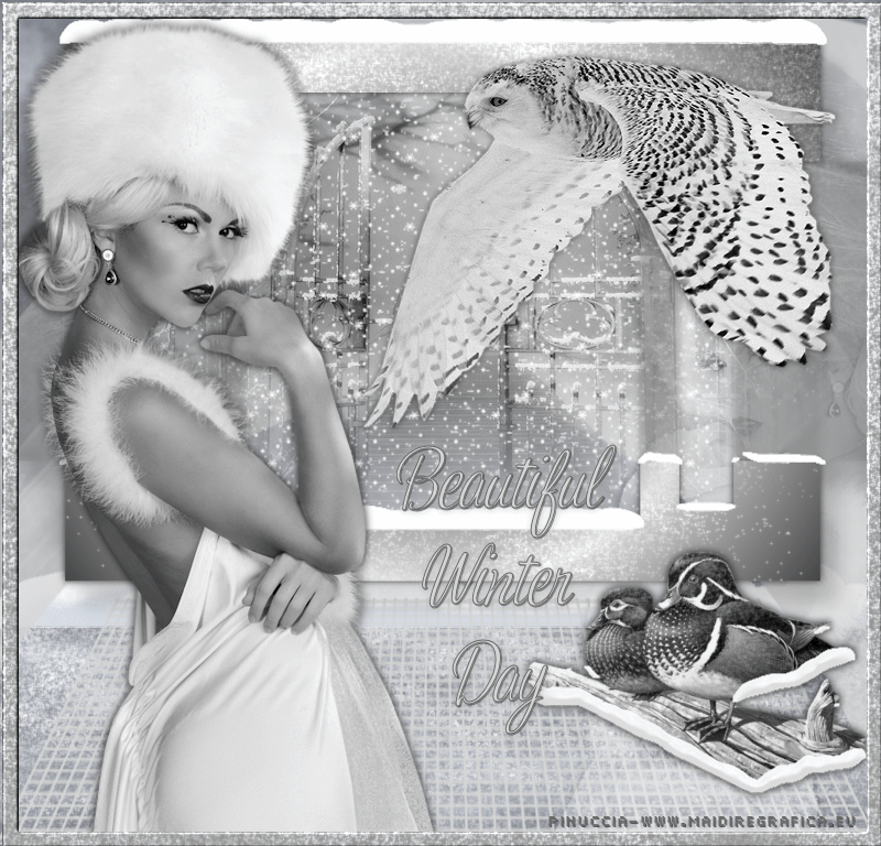 Beautiful winter day