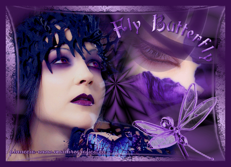 Fly Butterfly