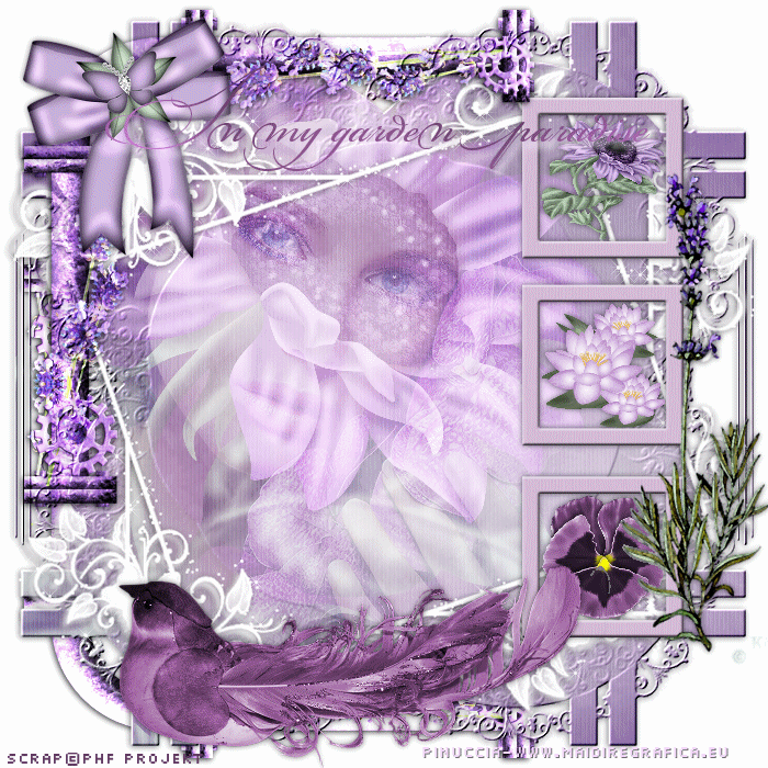 In my garden paradise