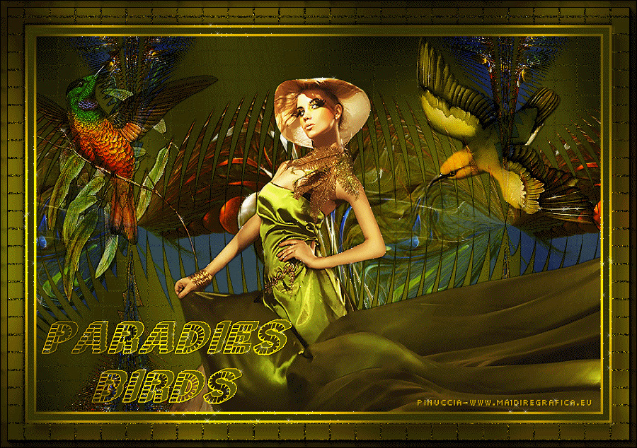 Paradies Birds