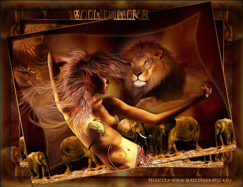 Just a little tenderness