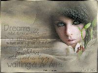 Innocent beauty rose