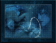 Dove crescono le rose