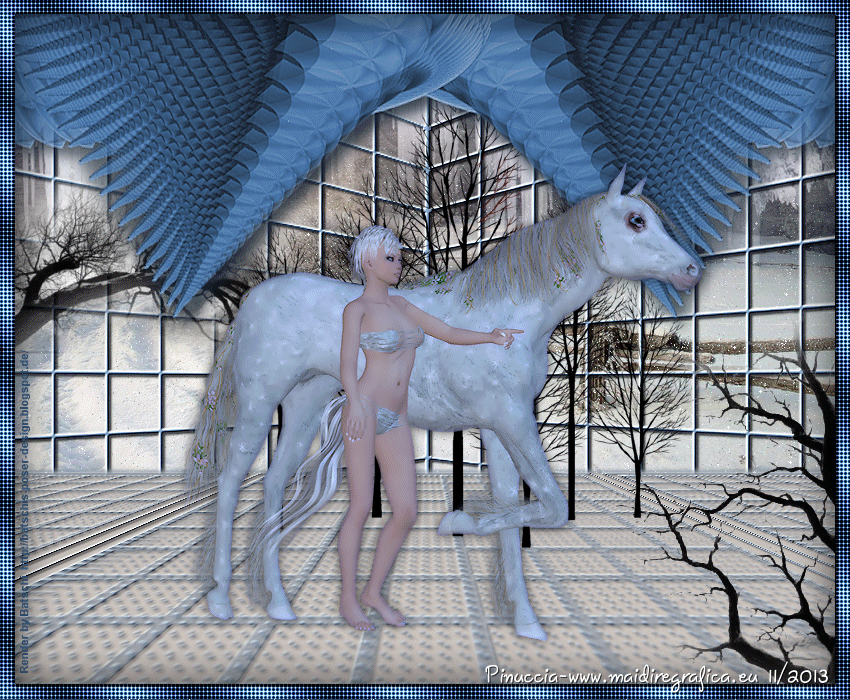 Amazone in Winderland