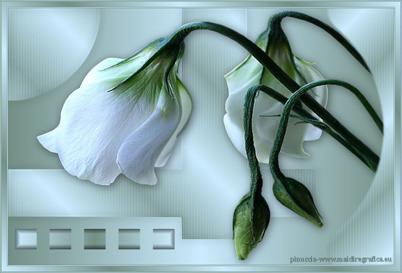 Html Flowers