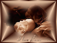 I love roses