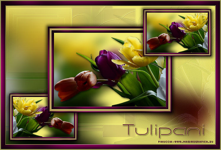 Tulips