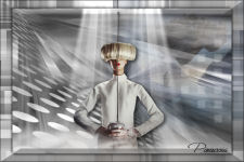 Spot of the Paradise