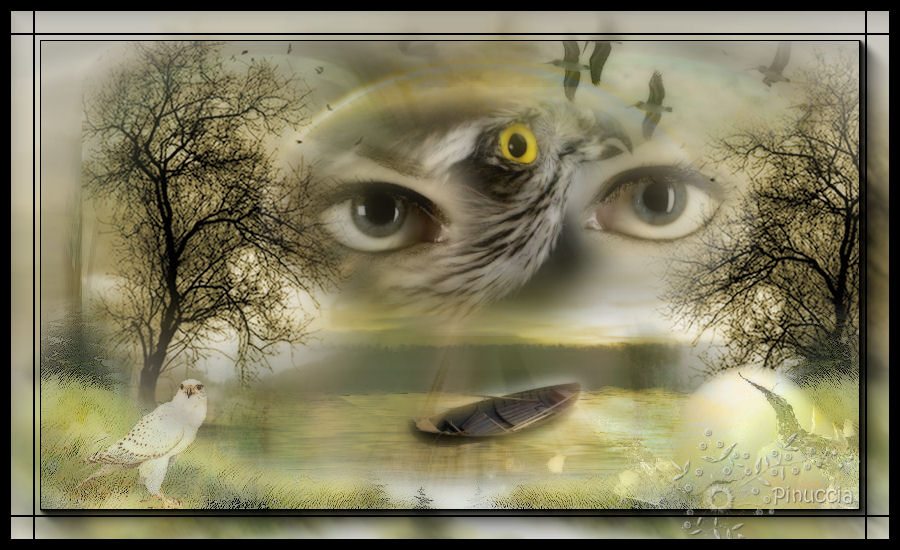 Through the eye of a bird