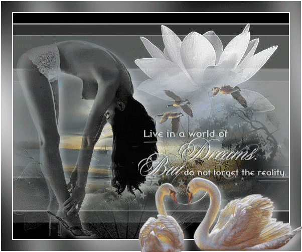 Live in a world of dreams