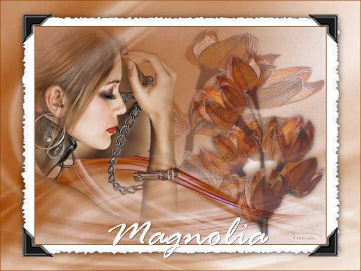 Magnolia