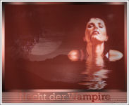 Nacht der Wampire