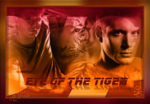 The eye of the tiger