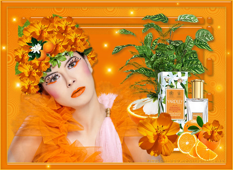 Orange blossom