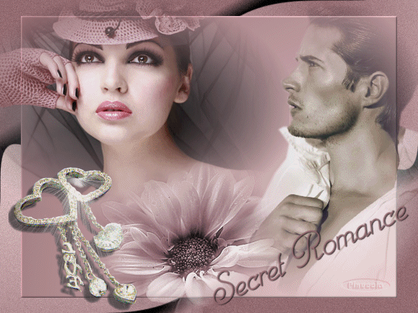 Secret Romance