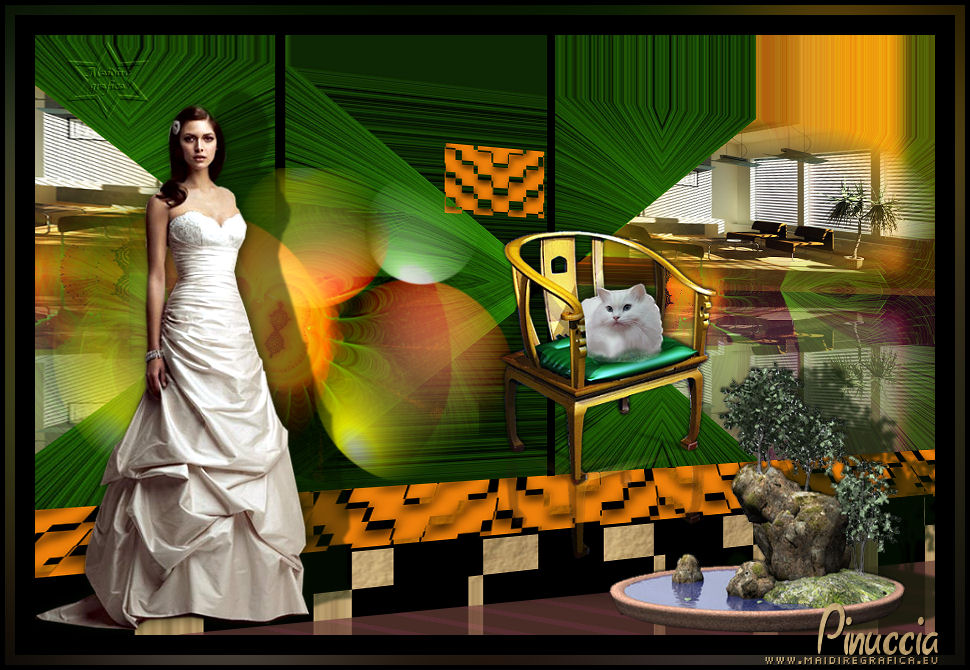 Verdure dans la maison