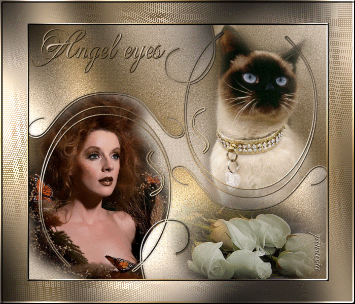 Angel Eyes
