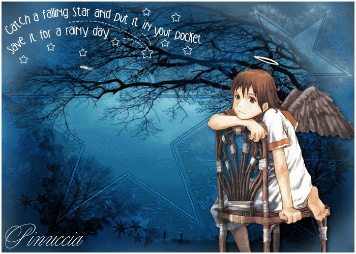 Catch a falling star