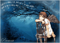 Catch a falling star