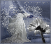 Goodbye my hopeless dream