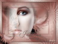 I can be your fantasy