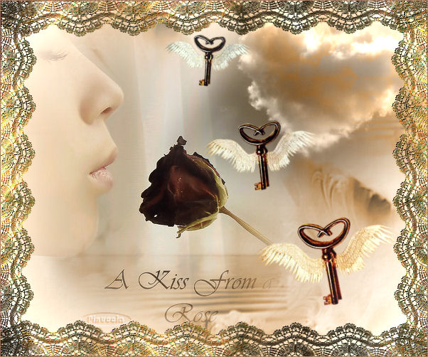 Kiss from a rose