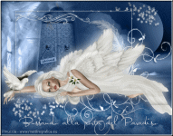 Knocking on heaven's door