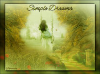 Simple Dreams