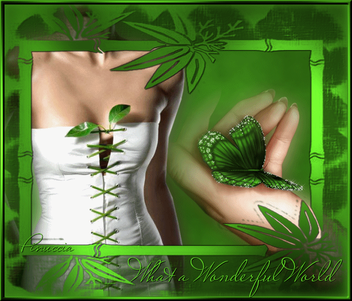 What a wonderful world