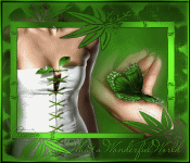 What a wonderful world