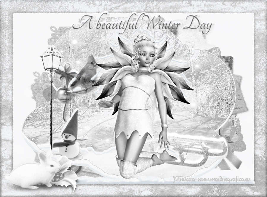 A beautiful winter day